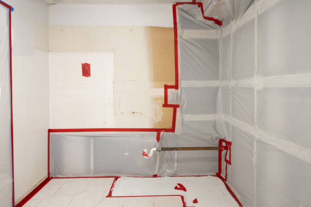 Best Indoor Air Quality Assessment  in Wayzata, MN