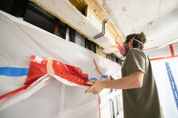 Best Emergency Mold Remediation  in Wayzata, MN